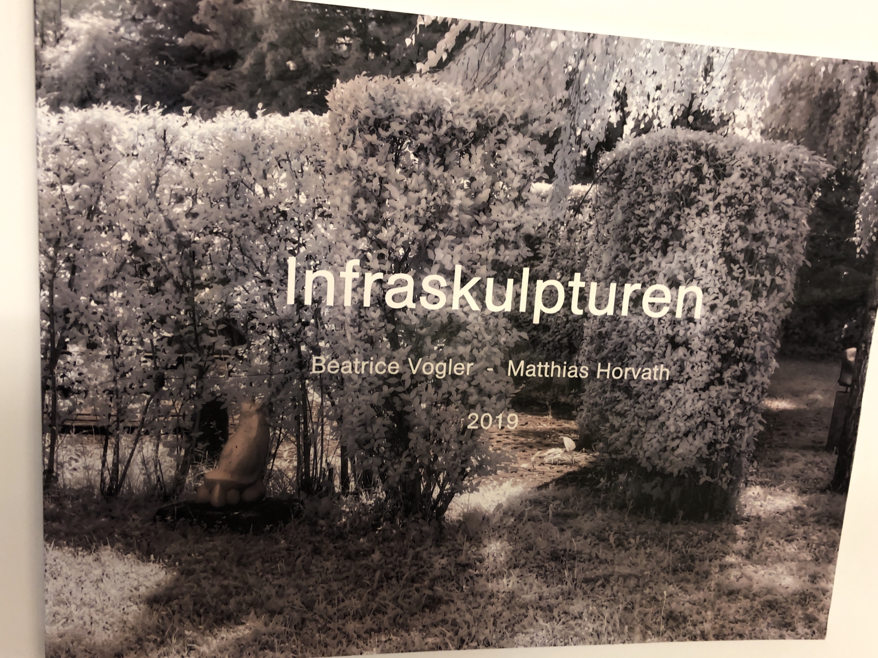 Buchcover Titel